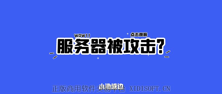 XIDISOFT | 服务器安全运维 DDOS CC 扛把子