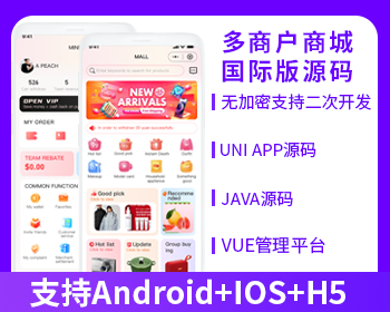 XIDISOFT | 国际版XIDISOFTJAVA多商户运营版商城系统源码地摊兄源码多商户源码社交电商源码支持Android+IOS+H5